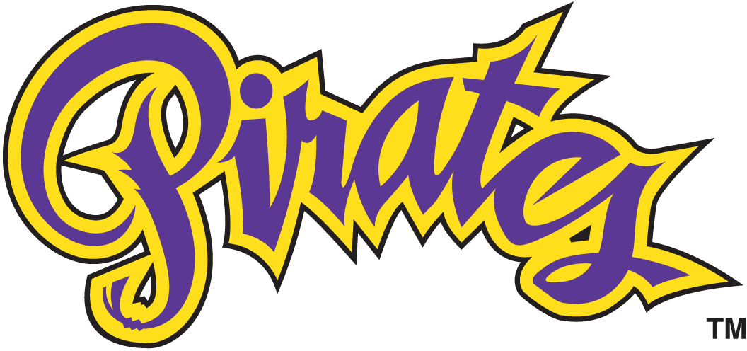 East Carolina Pirates 1999-2013 Wordmark Logo v4 diy fabric transfer